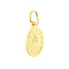 CIONDOLO MEDAGLIA OVALE MM 18 MADONNA MIRACOLOSA IN ARGENTO 925 GALVANICA ORO