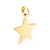 CIONDOLO STELLA PLAIN MM 19 IN ARGENTO 925 GALVANICA ORO