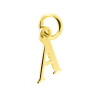 CIONDOLO INIZIALE NOME LETTERA PLAIN IN ARGENTO 925 GALVANICA ORO