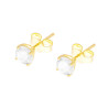ORECCHINI PUNTO LUCE TONDO CON ZIRCONE BIANCO MM 5 IN ARGENTO 925 GALVANICA ORO