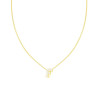 COLLANA CATENA SPIGA DIAMANTATA CON LETTERA INIZIALE F E CUBIC ZIRCONIA BIANCHI IN ARGENTO 925 GALVANICA ORO