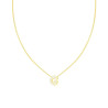 COLLANA CATENA SPIGA DIAMANTATA CON LETTERA INIZIALE G E CUBIC ZIRCONIA BIANCHI IN ARGENTO 925 GALVANICA ORO