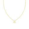 COLLANA CATENA SPIGA DIAMANTATA CON LETTERA INIZIALE R E CUBIC ZIRCONIA BIANCHI IN ARGENTO 925 GALVANICA ORO