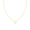 COLLANA CATENA SPIGA DIAMANTATA CON LETTERA INIZIALE C E CUBIC ZIRCONIA BIANCHI IN ARGENTO 925 GALVANICA ORO