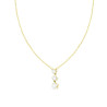 COLLANA CATENA FORZATINA DIAMANTATA CON STELLE TRILOGY CRYSTAL BIANCHI IN ACCIAIO E OTTONE COLORE ORO