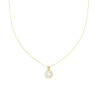 COLLANA CATENA FORZATINA DIAMANTATA CON PUNTO LUCE CONTORNATO DA CRYSTAL BIANCHI IN ACCIAIO COLORE ORO